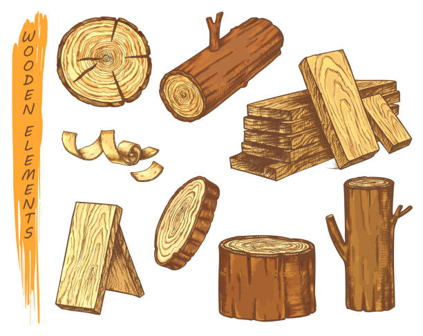 illustrations, cliparts, dessins animés et icônes de croquis d’isolement des éléments en bois dans la couleur - wood rough plank textured