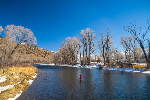 A senior, fly-fishing, in a red jacket, on the Colorado River, near Parshall, Colorado, in February