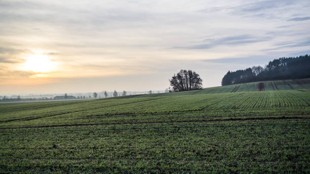 foggy landscape in winter with sun shining through clouds