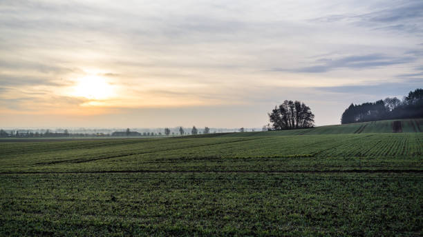 istock foggy landscape in winter with sun shining through clouds 1223468609