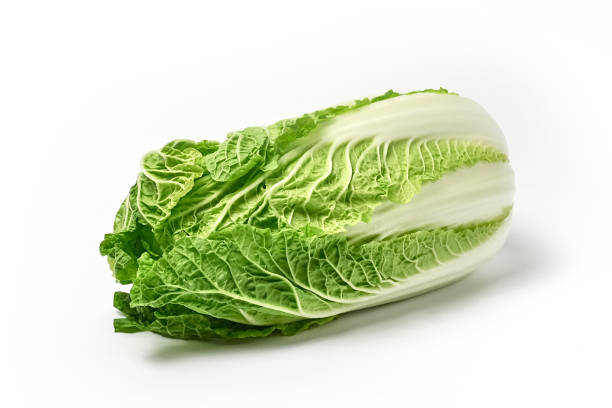 chinese cabbage on white background stock photo