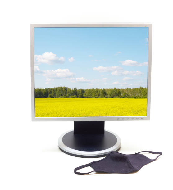 istock Monitor and medical face mask 1223472637