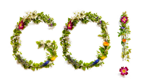 istock Flower And Blossom Letter Building Word Go 1223478592