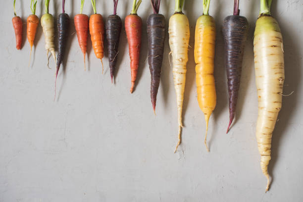 istock Multicolored home grown fresh organic carrots arranged in size 1223480074