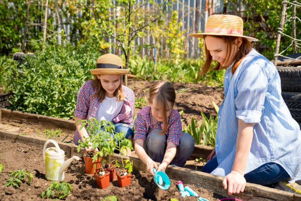 istock mom and her cute daughters planting seedlings 1223481228