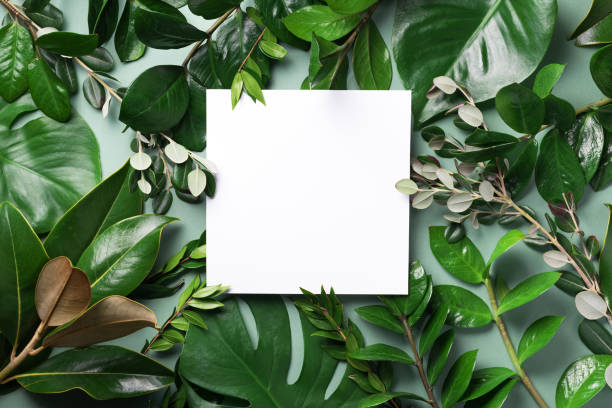 istock Summer and spring concept. Tropical nature background with green leaves and white empty square frame for copy space. Top view. Flat lay. Creative advertising 1223488172