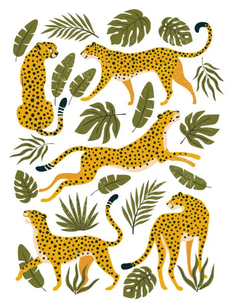 Vector illustration of Vector set of leopards or cheetahs and tropical leaves. Trendy illustration.