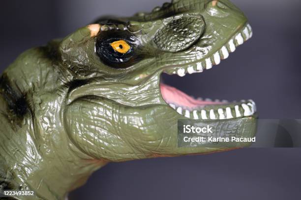 Close Up Of Head And Teeth Of A Trex Soft Plastic Tyrannosaurus Rex Dinosaur Toy Stock Photo - Download Image Now