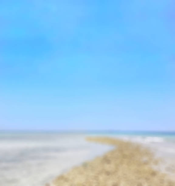 istock Ocean background texture. Out of focus blurry turquoise blue water background. 1223495412