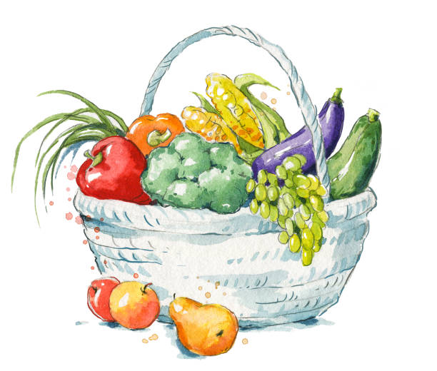 新鮮な果物や野菜の水彩画の完全なバスケット - basket of fruits点のイラスト素材／クリップアート素材／マンガ素材／アイコン素材