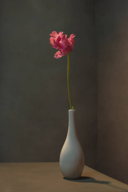 istock Pink tulip in white vase in empty grey room. 1223498238
