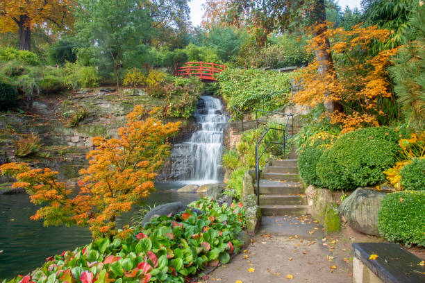 wasserfall im japanischen garten in kaiserslautern - kaiserslautern stock-fotos und bilder