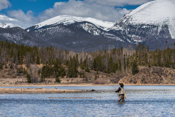 Senior Woman Fly Fishing in Lake Dillon, Colorado A senior woman fly-fishing in Lake Dillon, Colorado, near the towns of Frisco and Dillon in April. frisco colorado stock pictures, royalty-free photos & images