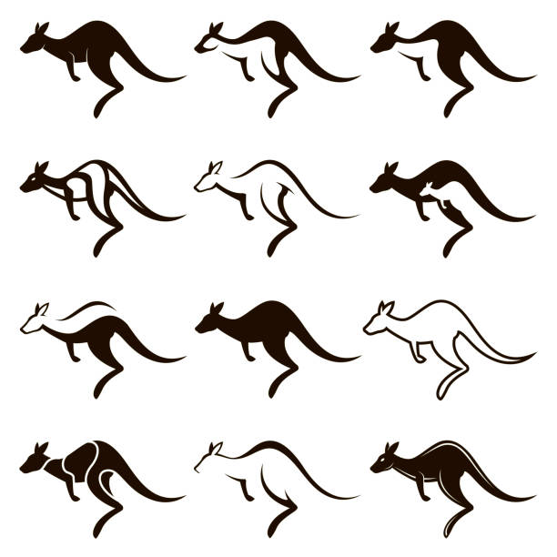 ilustraciones, imágenes clip art, dibujos animados e iconos de stock de conjunto de icono canguro de salto - kangaroo
