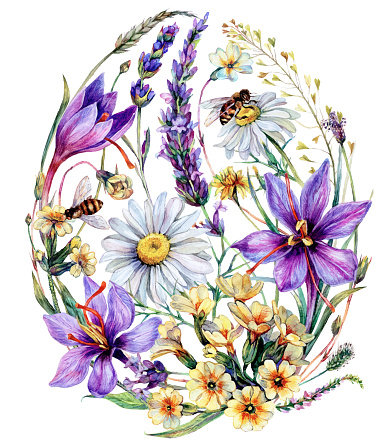 Watercolor Botanical Easter Greeting Card in the Shape of Easter Decorative Egg Isolated on White. Vintage Style Floral Design with Spring Wildflowers: Crocus, Lavender, Primrose, Chamomile, and Bees.