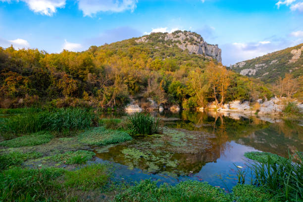 istock Lake in the forest 1223503937