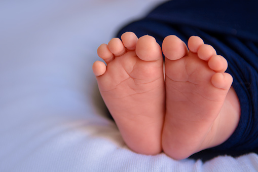 newborn baby feet and hands of parents.