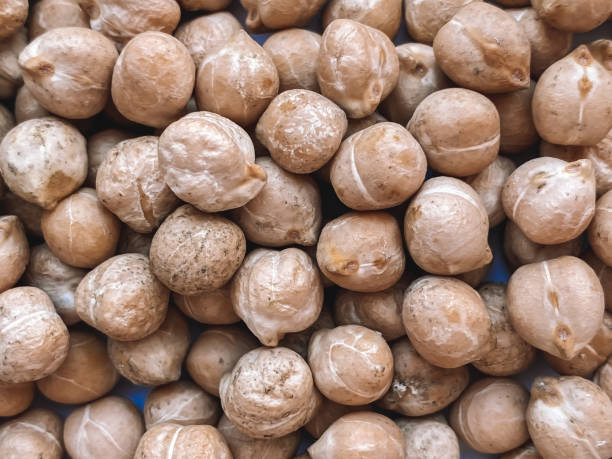 Raw chickpeas texture.Healthy nutrition concept.