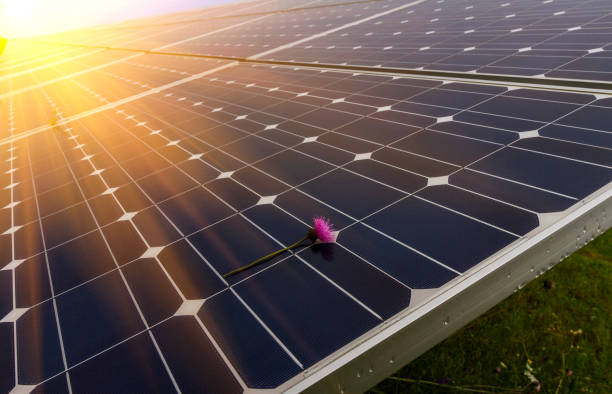 istock solar panel with rainy drops on it; flower; illuminated by sunlight 1223506857