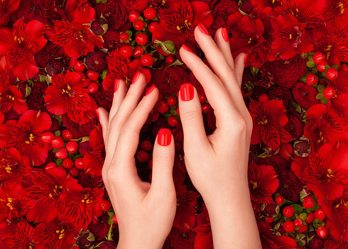 Female hands with bright red manicure on luxurious floral background.