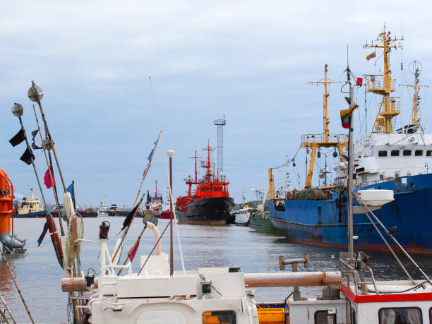 istock Container cargo ships in export and import business and logistics 1223507853
