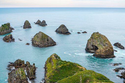 Catlins, New Zealand.