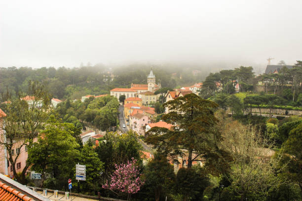 Natural landscape with trees, fog and palaces in Sintra, Portugal