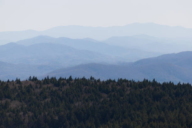 blue ridges in mount rogers - blue ridge mountains appalachian mountains appalachian trail forest stock-fotos und bilder
