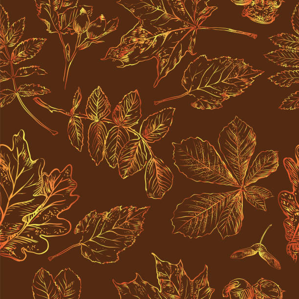 бесшовный узор осень 9 - hawthorn square shape square leaf stock illustrations