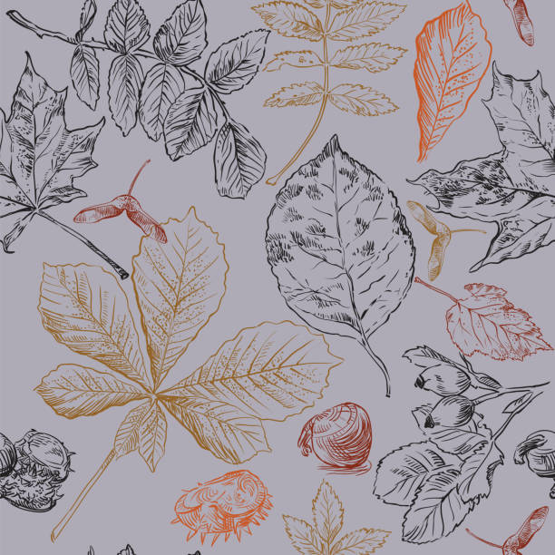 бесшовный узор осень 1 - hawthorn square shape square leaf stock illustrations