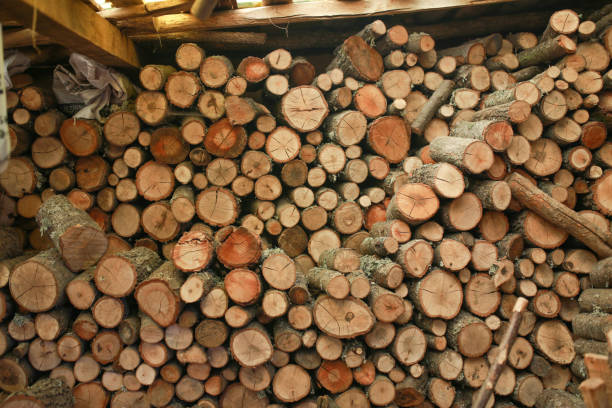 istock A pile of cut wood stump log texture 1223518484