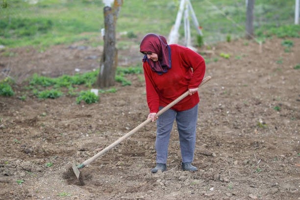 istock woman with hoe working in the garden 1223518520