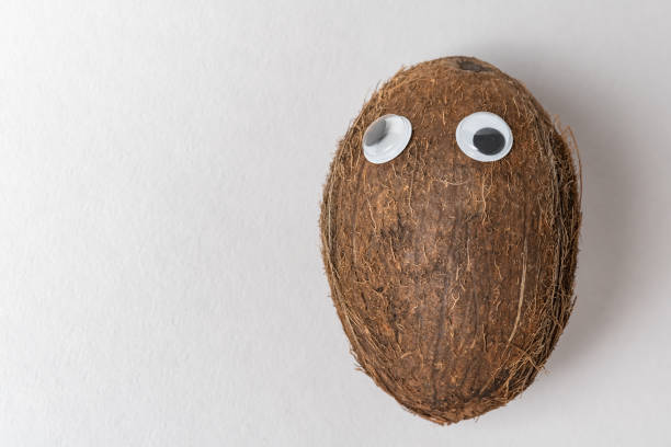 Coconut with Googly eyes and funny face. Crazy nut concept.