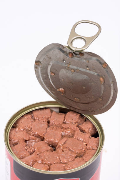 istock Beef chicken meat for dog and cat pets 1223523584