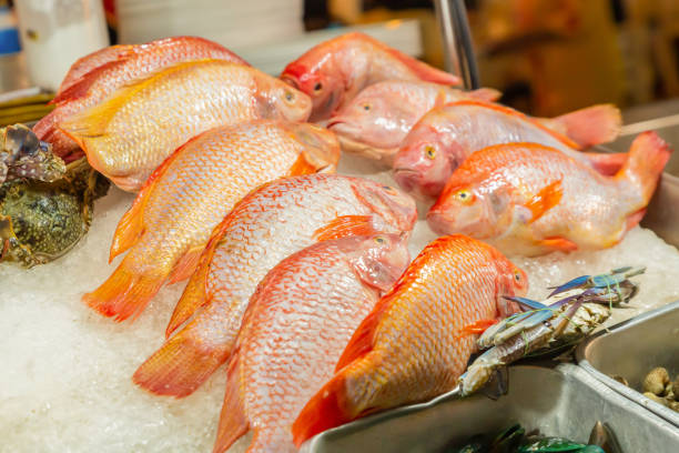 fish counter red snapper laid on crushed ice culinary background