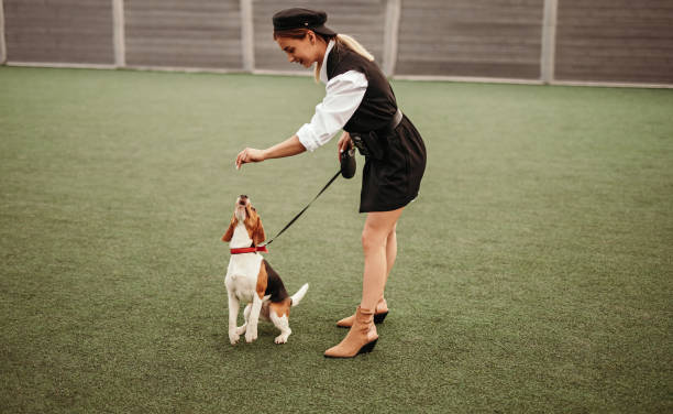 istock Stylish woman training dog on lawn 1223524119