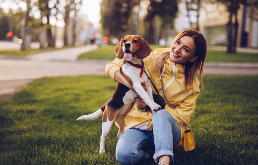 Happy young female smiling for camera and hugging cute Beagle while kneeling on green lawn on city street