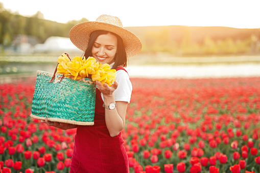 Happy woman in hat smiling and sniffing yellow flowers in bag while standing near bright tulip field on sunny day on farm