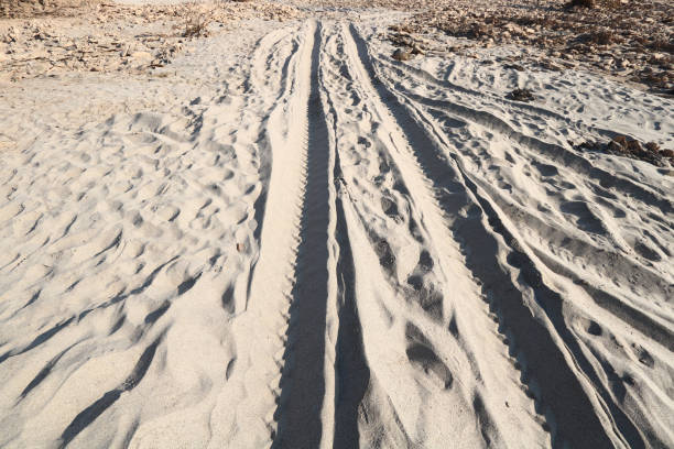 istock Vehicle tracks on the Mekong River 1223525766