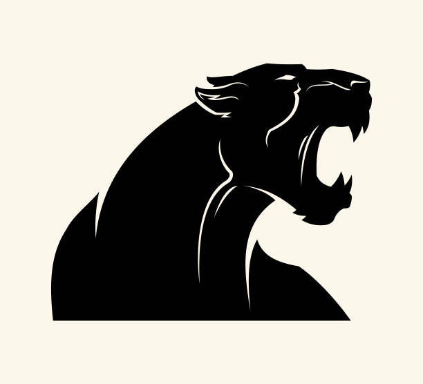 788 Black Panther Illustrations & Clip Art - iStock | Black panther marvel,  Black panther isolated, Black panther cub