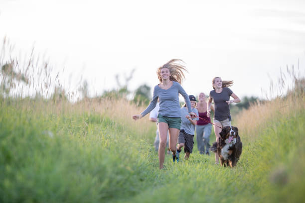 istock Family hiking together 1223533540