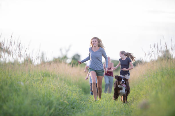 istock Family hiking together 1223533543