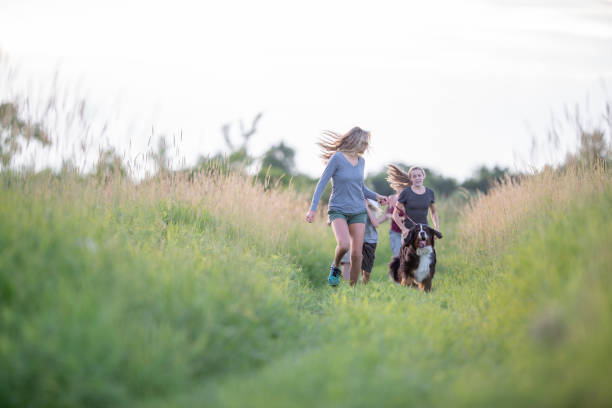 istock Family hiking together 1223533549