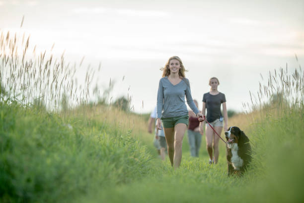 istock Family hiking together 1223533553