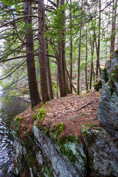 istock Spring Water Flowing Through The Mousam River 1223535209