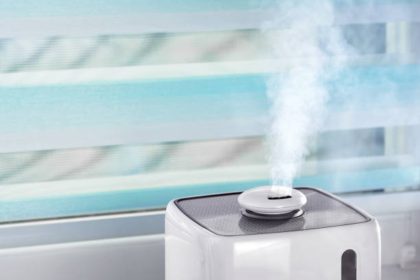 istock The white ultrasonic humidifier on a window moistens dry air 1223548963