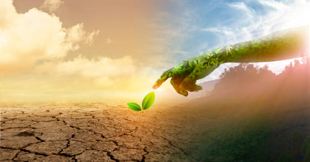 istock environment Earth Day Hands from nature are helping people. Nature's concept. 1223552752