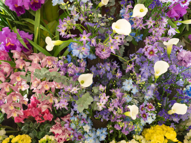 istock Colorful flower arrangement 1223553002