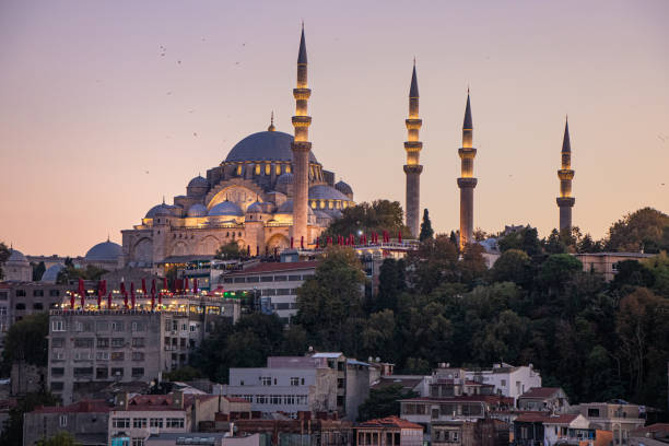 istock Historic Istanbul Mosque at Dusk 1223553701