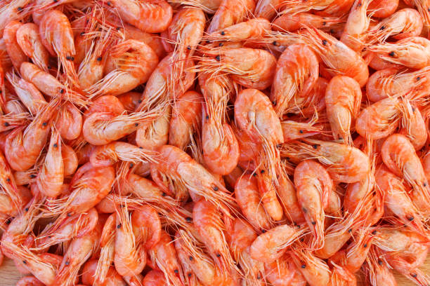 istock Background a lot of shrimp. Top view. 1223553891